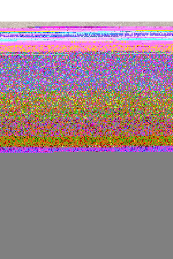 Pear Garden Baskılı Çift Kişilik Pike Takımı 200x220 cm Yeşil