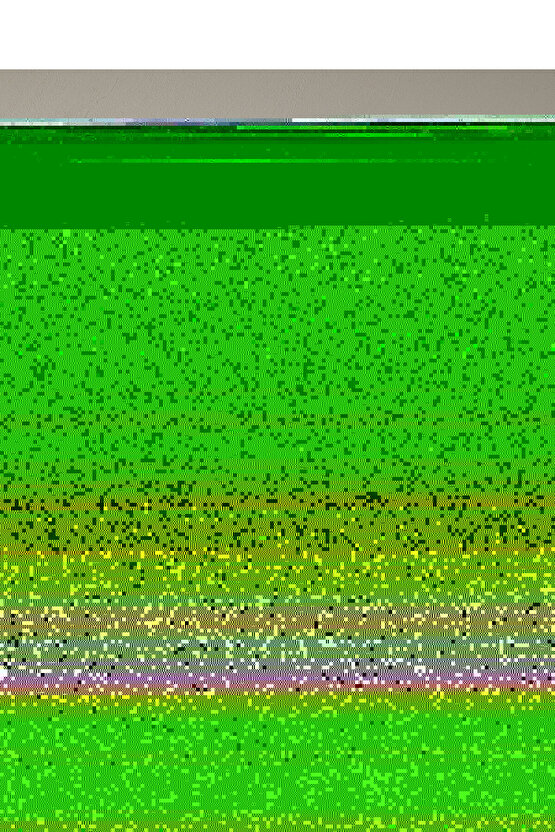 Flower Blast Kolay Ütülenir 2li Yastık Kılıfı 50x70 cm Kırmızı - Mavi