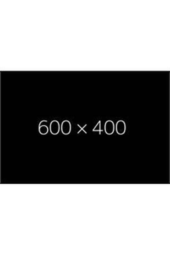 Sun Care SPF 50+ UVA  UVB Filtresi ve E Vitamini Üçlü Yüksek Koruma Çok Yönlü Güneş Kremi 50 ml