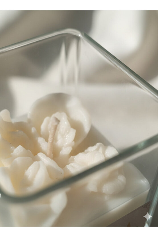 Kokulu Soya Mum – Vanilya – El Yapımı Dekoratif SukulentKaktüs Mum