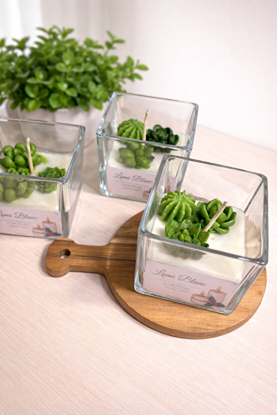 Echeveria Kokulu Soya Mum – Vanilya – El Yapımı Dekoratif SukulentKaktüs Mum