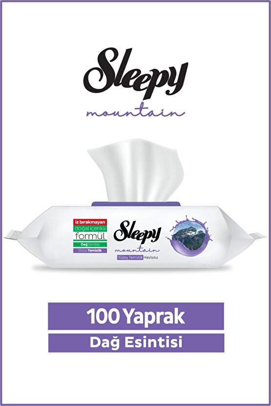 Mountain Yüzey Temizlik Havlusu&Mendili Dağ Esintisi 100 Yaprak