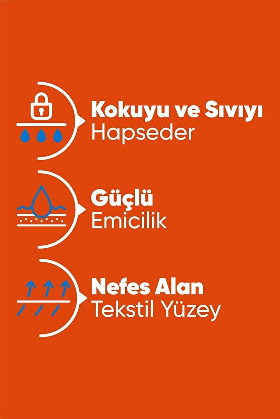 Large Emici Külot 30’lu