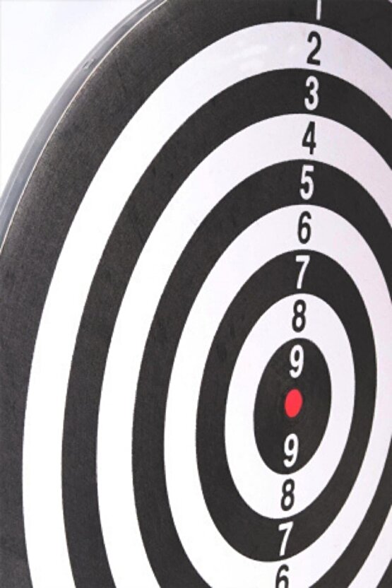 Dart Seti 38 cm (15 İnç) + 6 Dart Oku (6 Gr) Hedef Tahtası