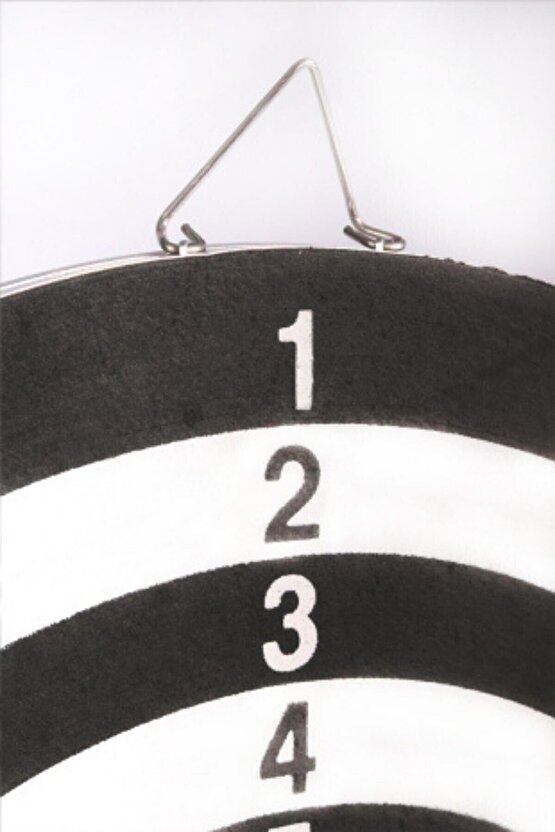 Dart Seti 38 cm (15 İnç) + 6 Dart Oku (6 Gr) Hedef Tahtası