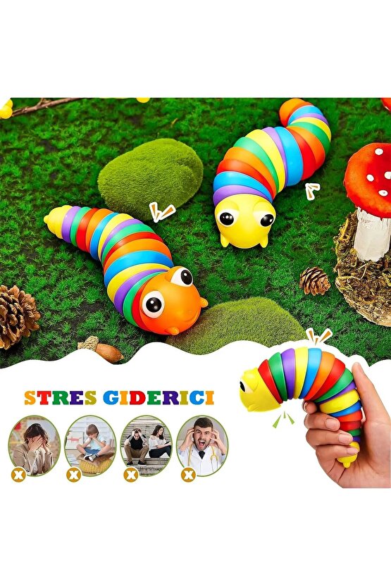 Renkli Tırtıl Oyuncak - Söktak Tırtıl - Eğlenceli Tırtıl - Renkli Kıvrımlı Tırtıl - Montessori