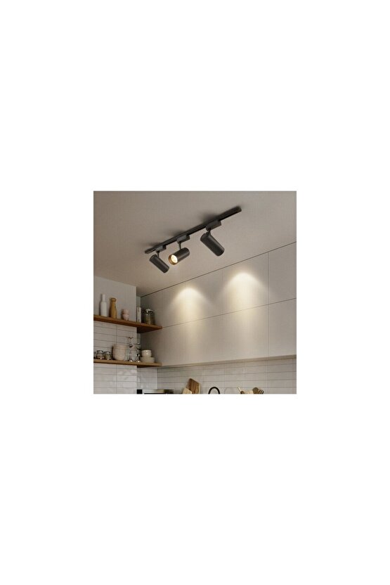 Alüminyum Gövde 30 Watt 3000 Kelvin Gün Işığı Ledli Çok Kaliteli Ray Spot , Led Armatür (Ray Hariç)