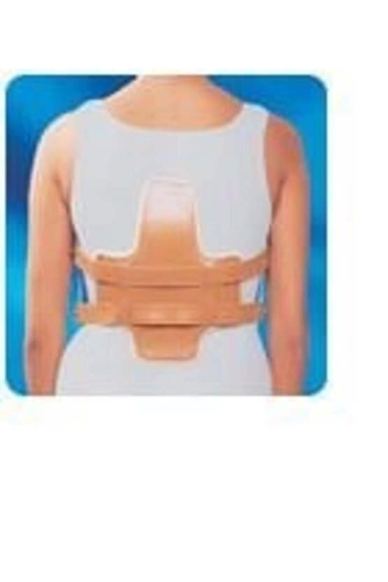 Jeweet Korse Jeweet Hyperextansion Korse Gövde Yüksekliği 50--60 cm MEDİUMArmoline Medikal