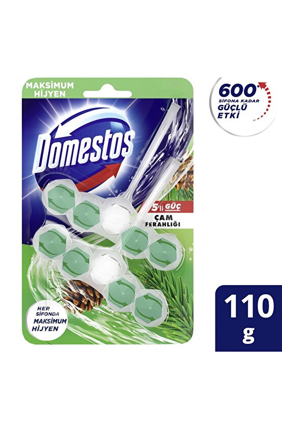 WC Blok 5li Güç Çam Ferahlığı 600 Sifona Kadar Güçlü Temizlik 110 GR İkili Paket