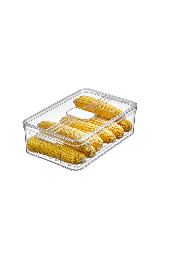 4x Adet Füme Frostora 5 LT Saplı Buzdolabı Organizeri & Saklama Kabı & Düzenleyici