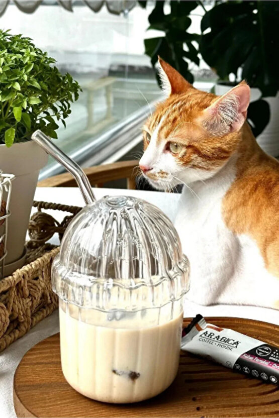 Mika Sert Plastik Kahve Bardağı ve Frozen Meşrubat Bardağı Cam Pipet Hediyeli 430 Ml.