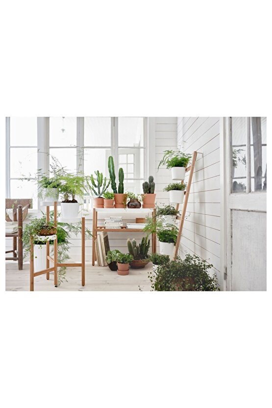 Çiçeklik, Bambu-Beyaz, Genişlik: 36 cm  Yükseklik: 125 cm  Saksının çapı: 12 cm