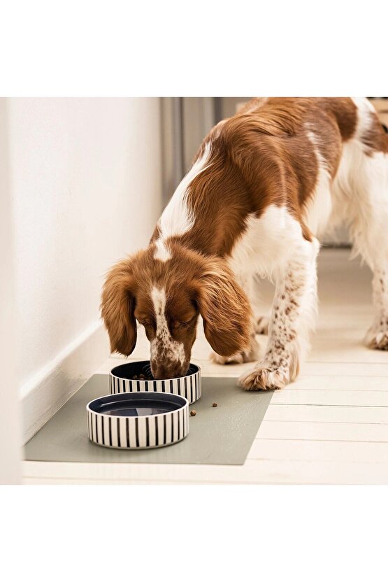 Mama Kabı Altlığı 50x33 Cm Evcil Hayvan Su Kabı Için Altlık Kedi Köpek Yemek Kabı Matı 2 Adet