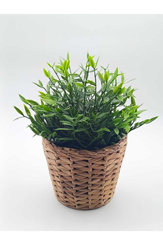 Frıdfull Hasır Saksı 12 Cm - Su Sümbülü