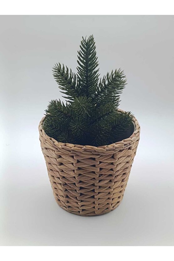 Frıdfull Hasır Saksı 12 Cm - Su Sümbülü