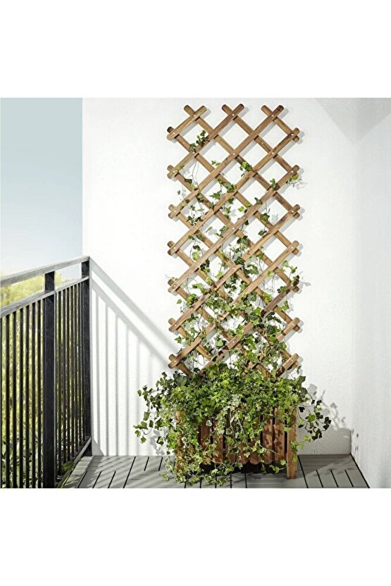 Askholmen 72x190 Cm Masif Akasya Bahçe Çiti Paravan Sarmaşıklık Bitki Çiçek