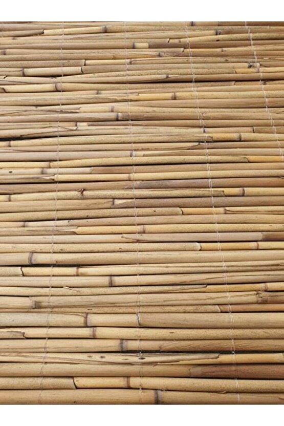 Kamış Çit Hasır Çit 1x4,5 Metre Eni 1 Metre Uzunluk 4,5 Metre