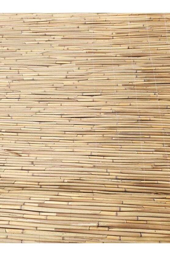 Kamış Çit Hasır Çit 1x4,5 Metre Eni 1 Metre Uzunluk 4,5 Metre