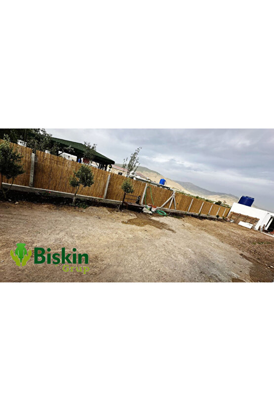 230CM Yükseklik X 400CM Genişlik Doğal Bambu Kamış Hasır Çit Dekoratif Bahçe Balkon ve Duvar Çiti .