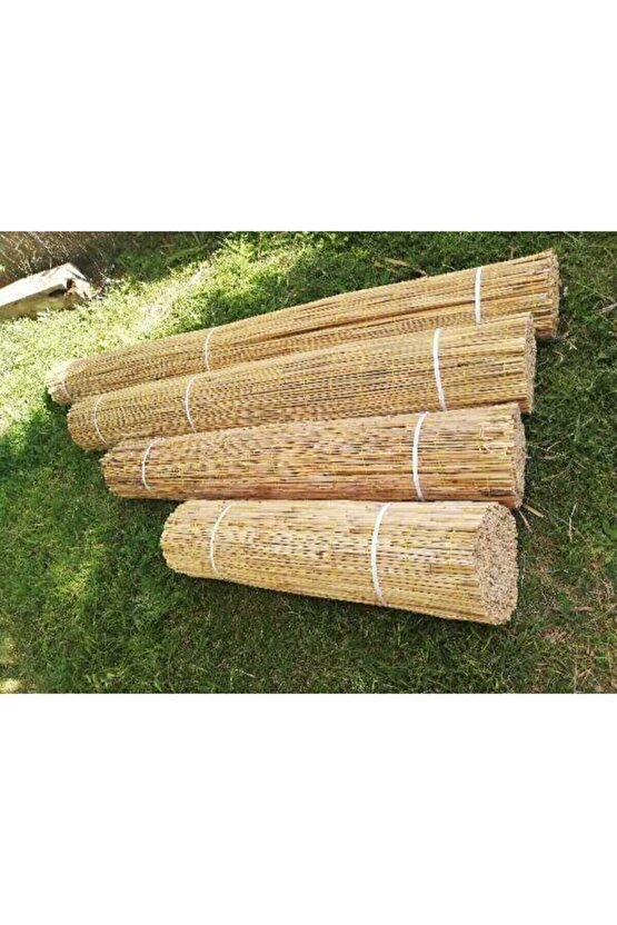 Kamış Hasır Bambu Çit 1m X 3m