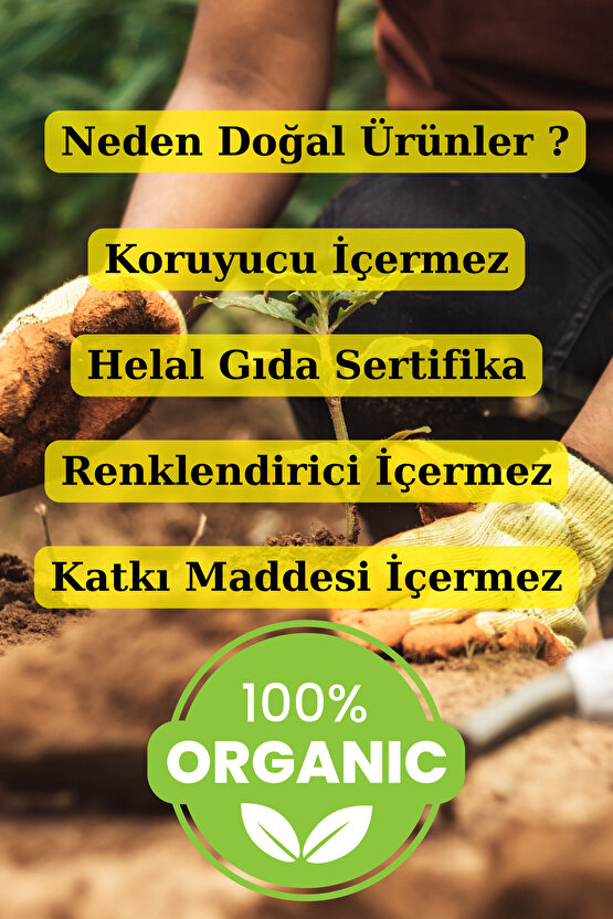 Limon Tuzu Toz 1 Kg