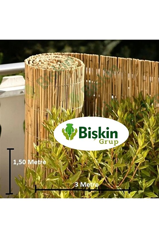 1,50 Metre X 3 Metre  Eber Gölünden Sazlık Kamış , Bambu , Gölgelik Çit, Bahçe Çiti, Hasır