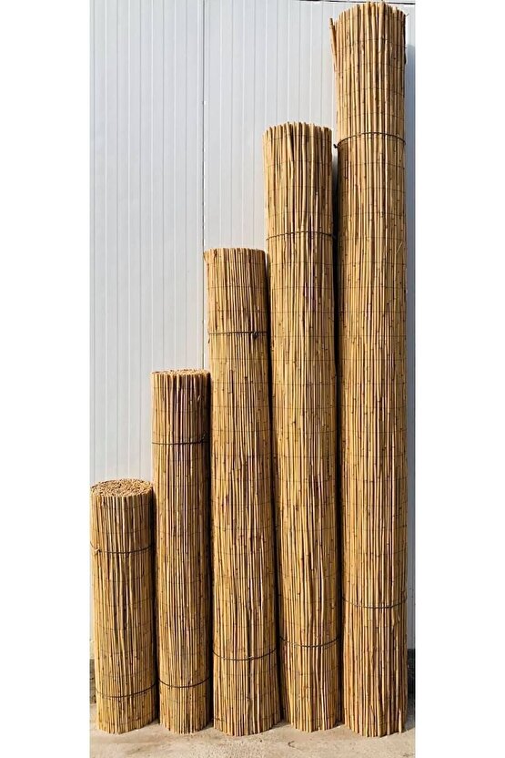 Kamış Çit Bambu Çit Hasır Doğal 1,00 X 5,00 Metre ( Misina İpi )