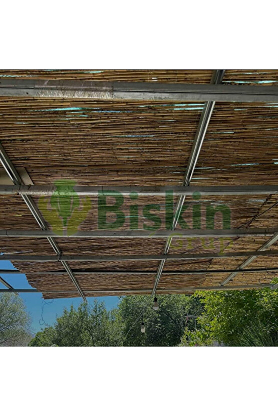 Kamış Hasır Çit 2 m x 6 m Bahçe Balkon Gizleme Çiti