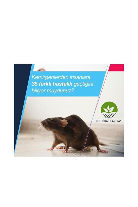 Racumin Fare Ve Sıçanlar Için Zehirli Buğday  24x250gr