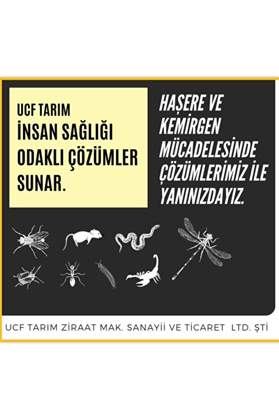 Racumin Fare Ve Sıçanlar Için Zehirli Buğday  24x250gr