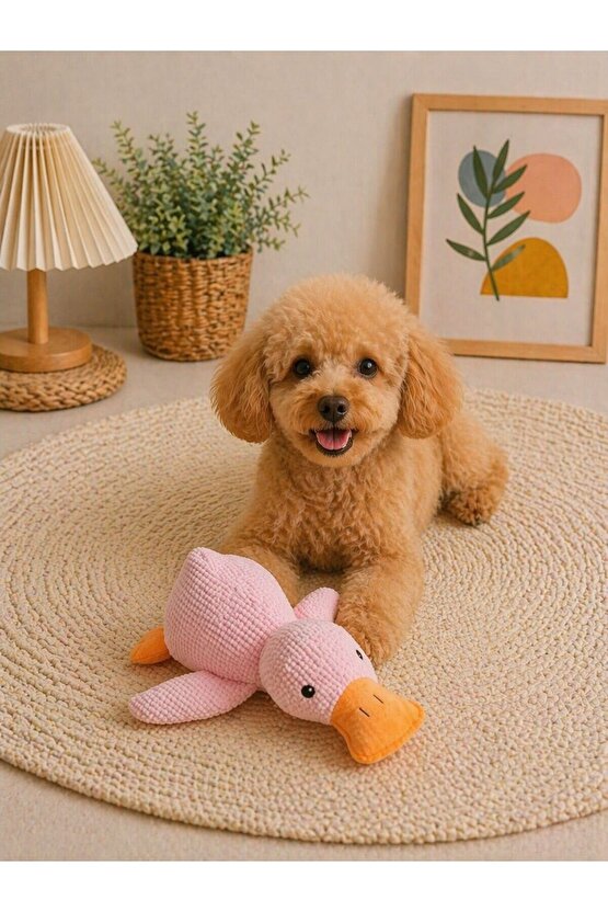 Hışırtılı Peluş Köpek Oyuncağı Ördek Model Yumuşak Sesli Diş Dostu Oyuncak (Dayanıklı & Eğlenceli)