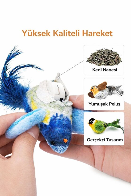 Kapıya Asılan Kedi Oyuncağı Sesli Kuşlu Elastik Kedi Oyuncağı Hareketli Kedi Eğlence Oyuncağı
