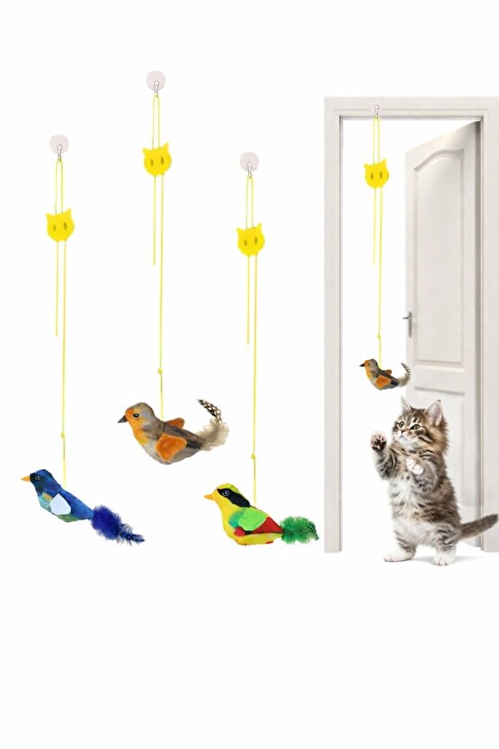 Kapıya Asılan Kedi Oyuncağı Sesli Kuşlu Elastik Kedi Oyuncağı Hareketli Kedi Eğlence Oyuncağı