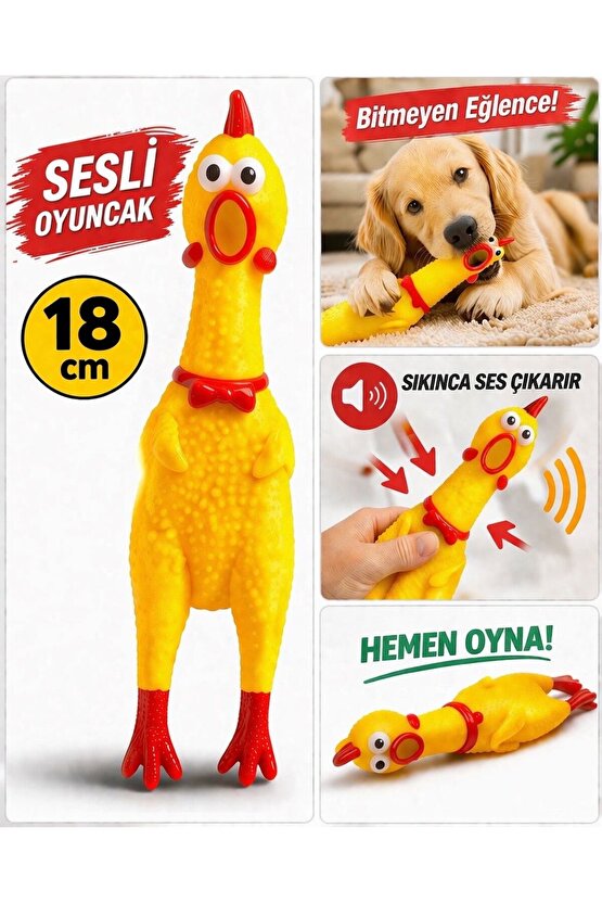 Sesli Tavuk Oyuncak Büyük Boy Köpek Oyuncağı Isırmalık Dayanıklı Lateks Zıplayan Sıkınca Öten Tavuk