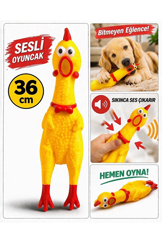 Sesli Tavuk Oyuncak Büyük Boy Köpek Oyuncağı Isırmalık Dayanıklı Lateks Zıplayan Sıkınca Öten Tavuk