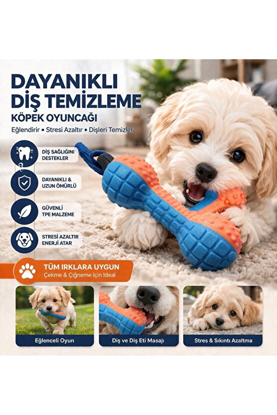 Köpek Diş Temizleme Oyuncağı Dayanıklı Çiğneme Oyuncağı Stres Azaltıcı Köpek Oyuncak
