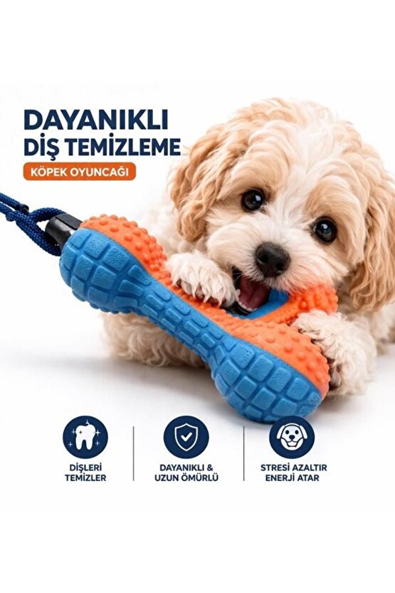 Köpek Diş Temizleme Oyuncağı Dayanıklı Çiğneme Oyuncağı Stres Azaltıcı Köpek Oyuncak