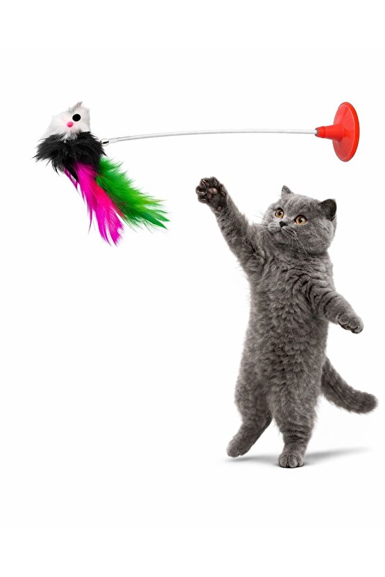 Kedi Oyuncağı Vantuzlu Zıplayan Tüylü Fare Oyuncak – British Kedi Oyun Çubuğu Eğlenceli Dayanıklı