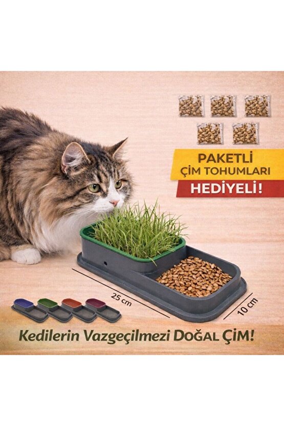 PEMBE KEDİ ÇİM TOHUMLARI HEDİYELİ ,1 ADET HİDROPONİK TOPRAKSIZ DOĞAL KEDİ ÇİM YETİŞTİRME KABI