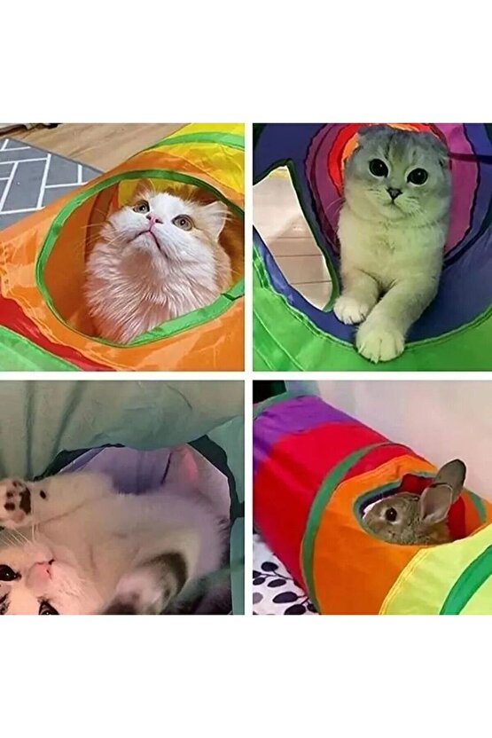 Kedi Tüneli Pratik Katlanır Gökkuşağı Uzun Kedi Köpek Oyun Tüneli Evcil Hayvan Oyun Tüneli Petshop