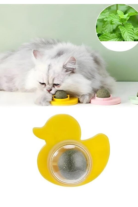 Kedi Yalama Topu Nane Ördek Modelli