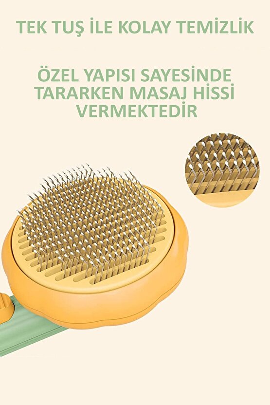 Kabak Tasarımlı Evcil Hayvan Tarağı