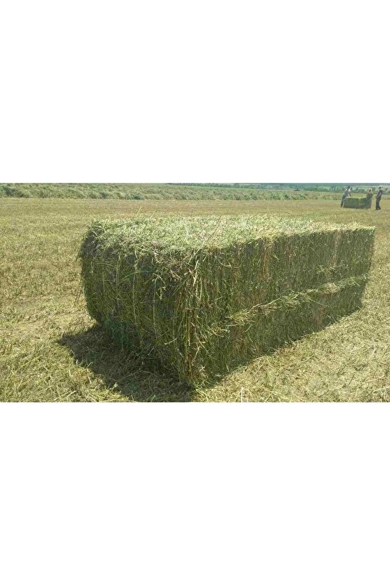 Kuru Yonca Kemirgen Otu 1 Kg