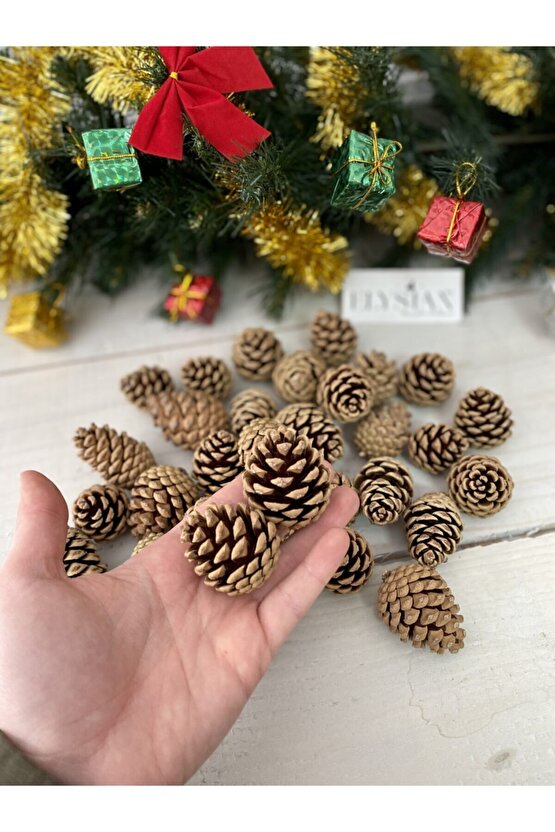 Kozalak Dekoratif 10 Adet Yılbaşı Süsleri Yılbaşı Ağacı Süsü Doğal Noel Çam Kozalağı