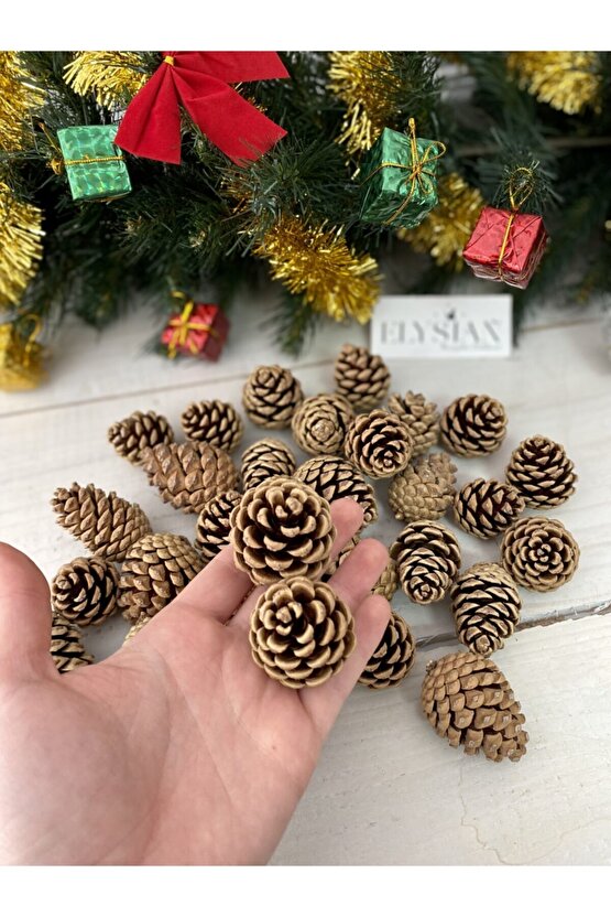 Kozalak Dekoratif 10 Adet Yılbaşı Süsleri Yılbaşı Ağacı Süsü Doğal Noel Çam Kozalağı