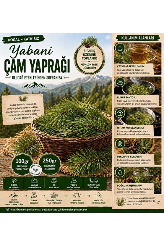 Doğal Çam Yaprağı | Uludağ Eteklerinden Taze Toplanır | Katkısız Aromatik Çam İğnesi 100 gr
