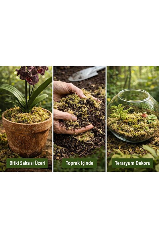 Doğal Yosun Torfu, Lif Parça Kurutulmuş Spagnum Floor Moss Yosun, Teraryum, Orkide, Toprak Katkısı,Dekor