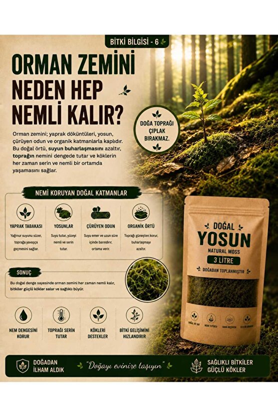 Doğal Yosun Torfu, Lif Parça Kurutulmuş Spagnum Floor Moss Yosun, Teraryum, Orkide, Toprak Katkısı,Dekor