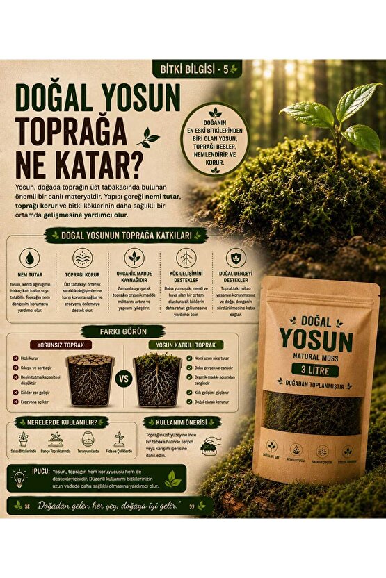 Doğal Yosun Torfu, Lif Parça Kurutulmuş Spagnum Floor Moss Yosun, Teraryum, Orkide, Toprak Katkısı,Dekor