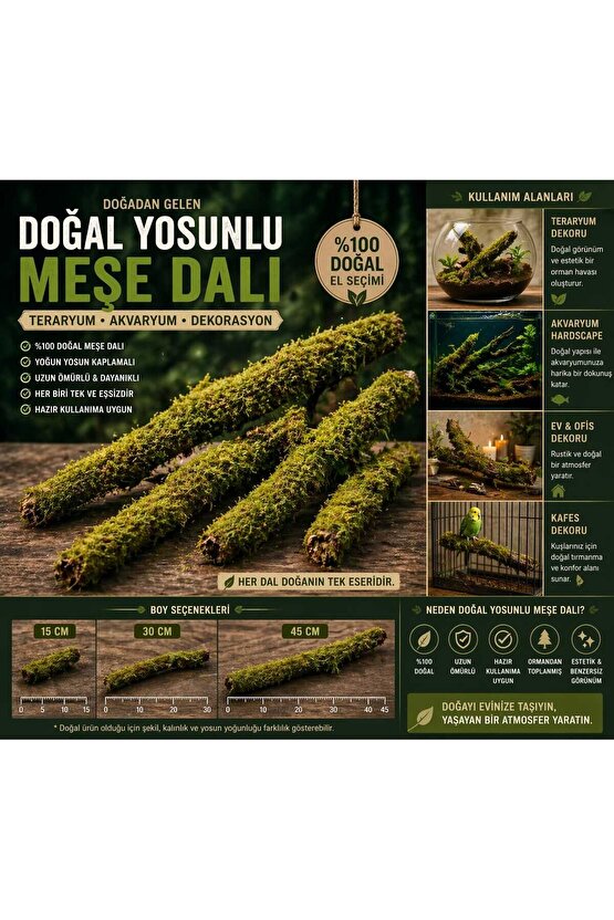 Doğal Yosunlu Meşe Dalı Dekoratif Dal Teraryum Akvaryum Kafes İçin 45cm